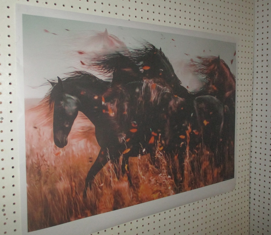 Custom Large Format Printing | Custom Photo Prints | Custom Poster Printing | Personalized Wall Art Prints | Up to 50″ Wide | Made to Order - Image 7